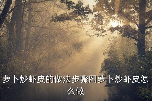 蘿卜炒蝦皮的做法步驟圖蘿卜炒蝦皮怎么做