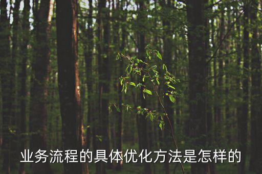 業務流程優化，業務流程怎樣優化才能快速滿足企業發展和用戶需求牢固樹立效率意