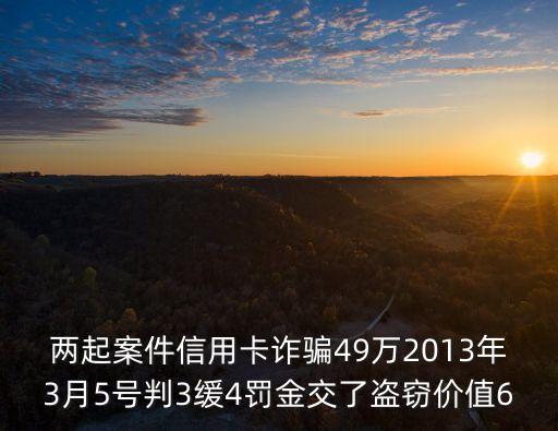 上海市盜竊罪交罰金案例，上海盜竊案