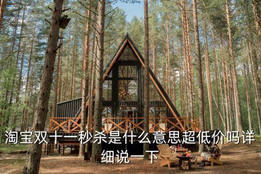 淘寶雙十一秒殺是什么意思超低價(jià)嗎詳細(xì)說一下