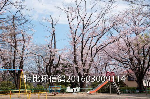 特比環(huán)信鴿2016030091142