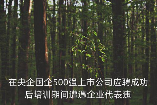 上海市國資委青年突擊隊，在央企國企500強上市公司應(yīng)聘成功后培訓(xùn)期間遭遇企業(yè)代表違