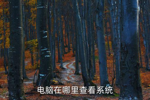 電腦在哪里查看系統