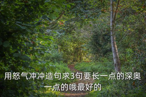 用怒氣沖沖造句求3句要長一點的深奧一點的哦最好的