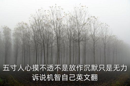 五寸人心摸不透不是故作沉默只是無力訴說機智自己英文翻
