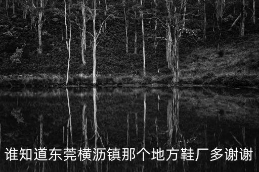 誰知道東莞橫瀝鎮那個地方鞋廠多謝謝