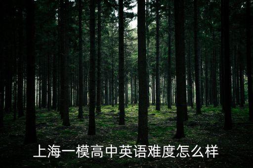 上海一模高中英語難度怎么樣