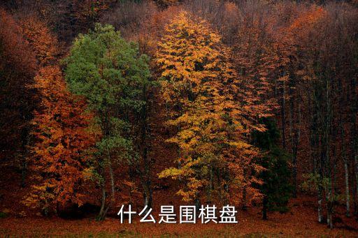 圍棋棋盤，什么是圍棋盤