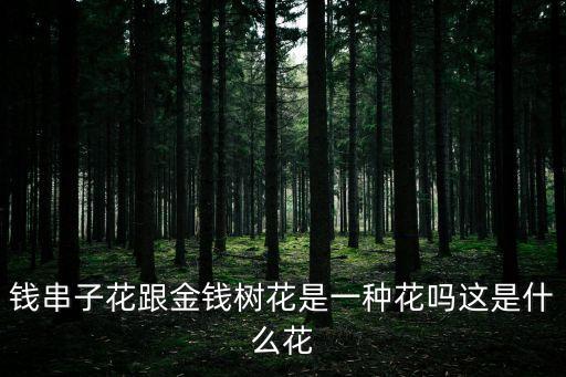 錢串子花跟金錢樹花是一種花嗎這是什么花
