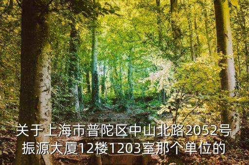 關(guān)于上海市普陀區(qū)中山北路2052號(hào)振源大廈12樓1203室那個(gè)單位的