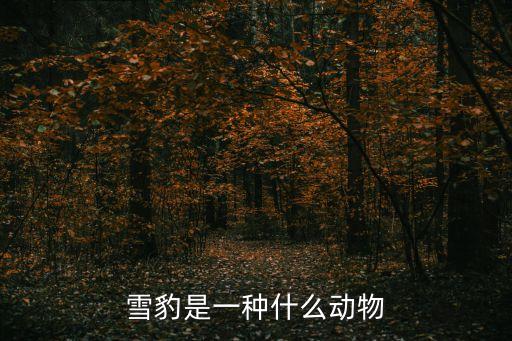 雪豹是一種什么動物