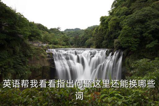 英語幫我看看指出問題這里還能換哪些詞