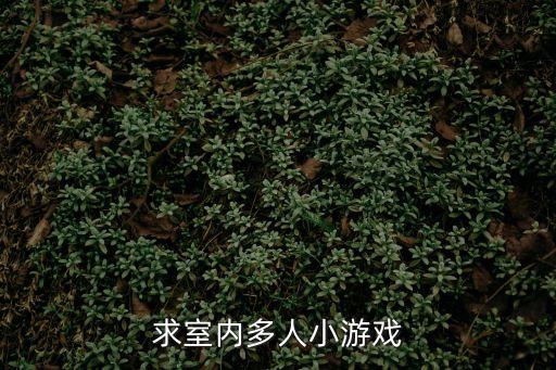 多人小游戲室內，在室內有哪些多人游戲怎么玩