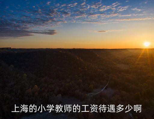 上海市書院小學老師，上海閔行小學二年級數學夏玲老師在哪個學校