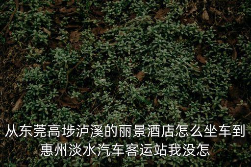 從東莞高埗瀘溪的麗景酒店怎么坐車到惠州淡水汽車客運站我沒怎