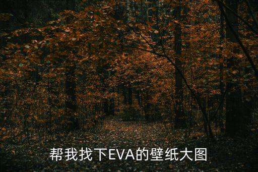 幫我找下EVA的壁紙大圖