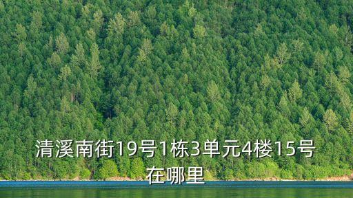 清溪南街19號1棟3單元4樓15號在哪里