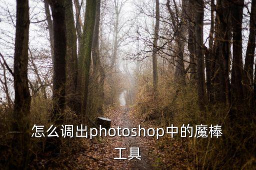 ps魔棒工具，photoshop魔棒工具是什么作用的