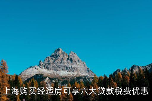 上海市財政局劉海峰，中小企業國際市場開拓資金支持哪些項目