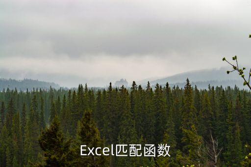 Excel匹配函數
