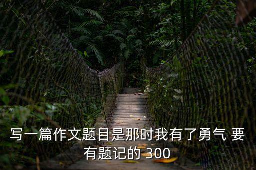寫一篇作文題目是那時我有了勇氣 要有題記的 300