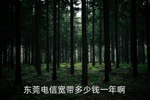 東莞電信寬帶多少錢一年啊