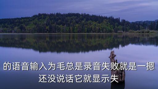 的語音輸入為毛總是錄音失敗就是一摁還沒說話它就顯示失