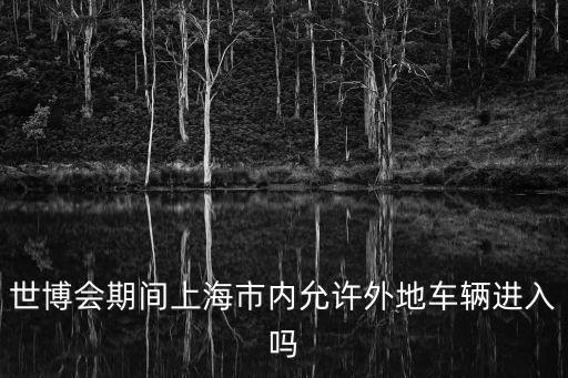 世博會期間上海市內允許外地車輛進入嗎