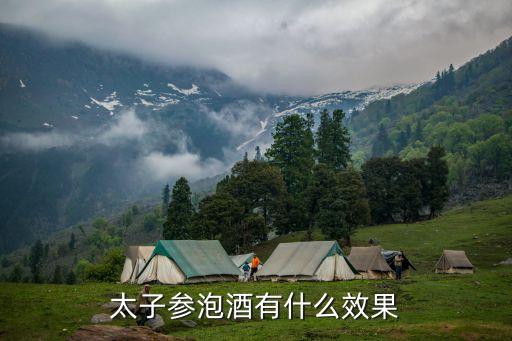 太子參功效，太子參的用途