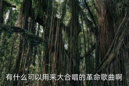 有什么可以用來大合唱的革命歌曲啊