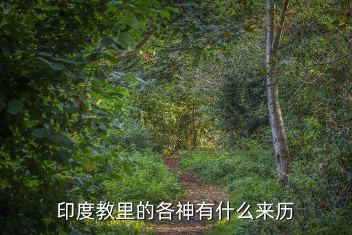 印度教里的各神有什么來歷
