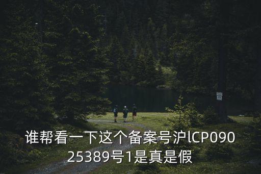 誰幫看一下這個備案號滬lCP09025389號1是真是假
