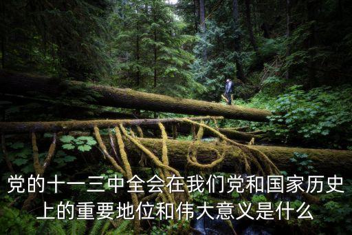 十一屆三中全會的意義，十一屆三中全會的內(nèi)容和意義