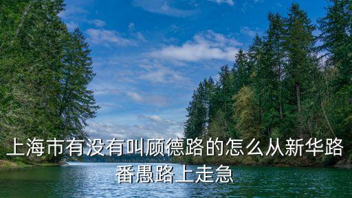 上海市顧陳路修路，上海地區(qū)問路