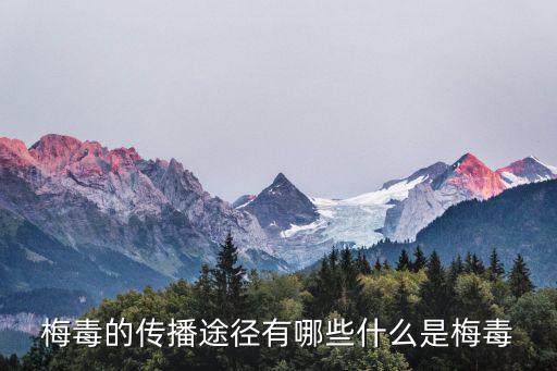 梅毒的傳播途徑，梅毒的傳播途徑是什么