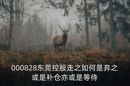 000828東莞控股走之如何是棄之或是補倉亦或是等待