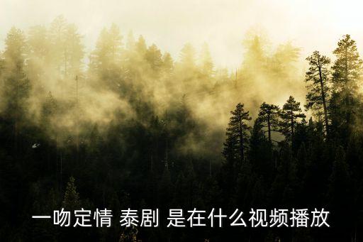一吻定情 泰劇 是在什么視頻播放