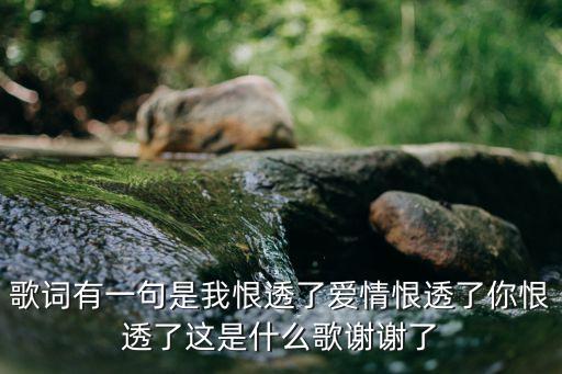 歌詞有一句是我恨透了愛情恨透了你恨透了這是什么歌謝謝了