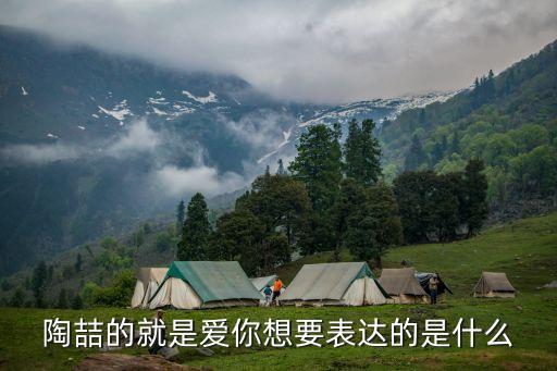 陶喆的就是愛(ài)你想要表達(dá)的是什么