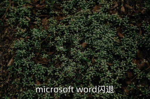 word閃退，word一插入文件就閃退