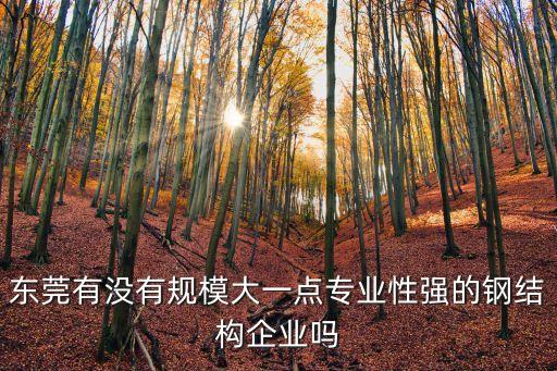 東莞鋼結構公司有哪些，廣東哪些鋼結構公司比較大