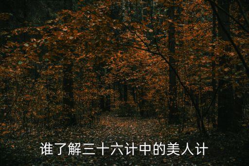 誰(shuí)了解三十六計(jì)中的美人計(jì)