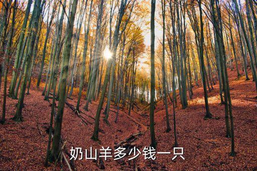奶山羊，奶山羊多少錢一只
