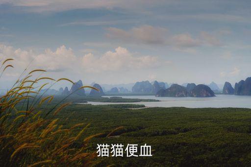 貓貓便血