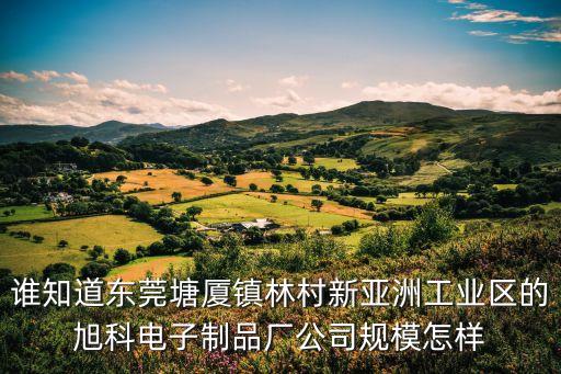 誰(shuí)知道東莞塘廈鎮(zhèn)林村新亞洲工業(yè)區(qū)的旭科電子制品廠公司規(guī)模怎樣