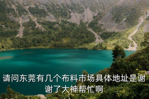 請問東莞有幾個布料市場具體地址是謝謝了大神幫忙啊