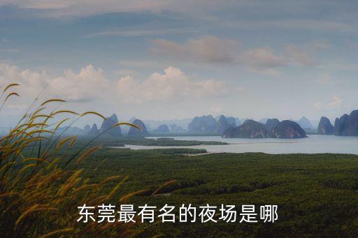 東莞酒吧出名，東莞最有名的夜場是哪