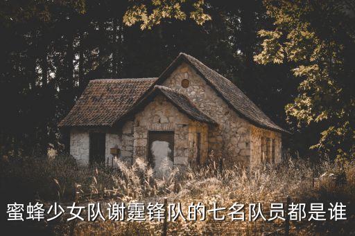 蜜蜂少女隊謝霆鋒隊的七名隊員都是誰