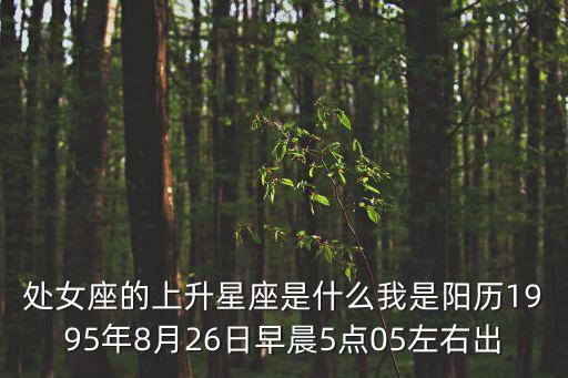 處女座的上升星座是什么我是陽(yáng)歷1995年8月26日早晨5點(diǎn)05左右出