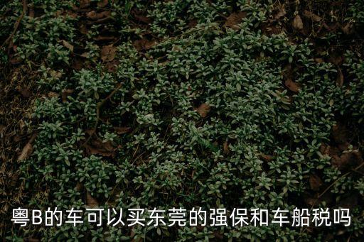 粵B車可以過戶東莞嗎，廣州車牌可以過戶到東莞嗎